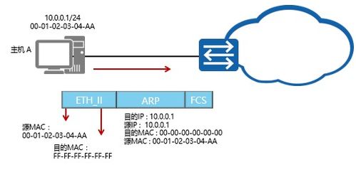ARP協(xié)議解析與Dragon S網(wǎng)絡信息設備技術咨詢指南